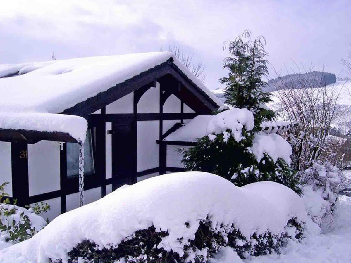 Ferienhaus Hennesee メシェデ エクステリア 写真